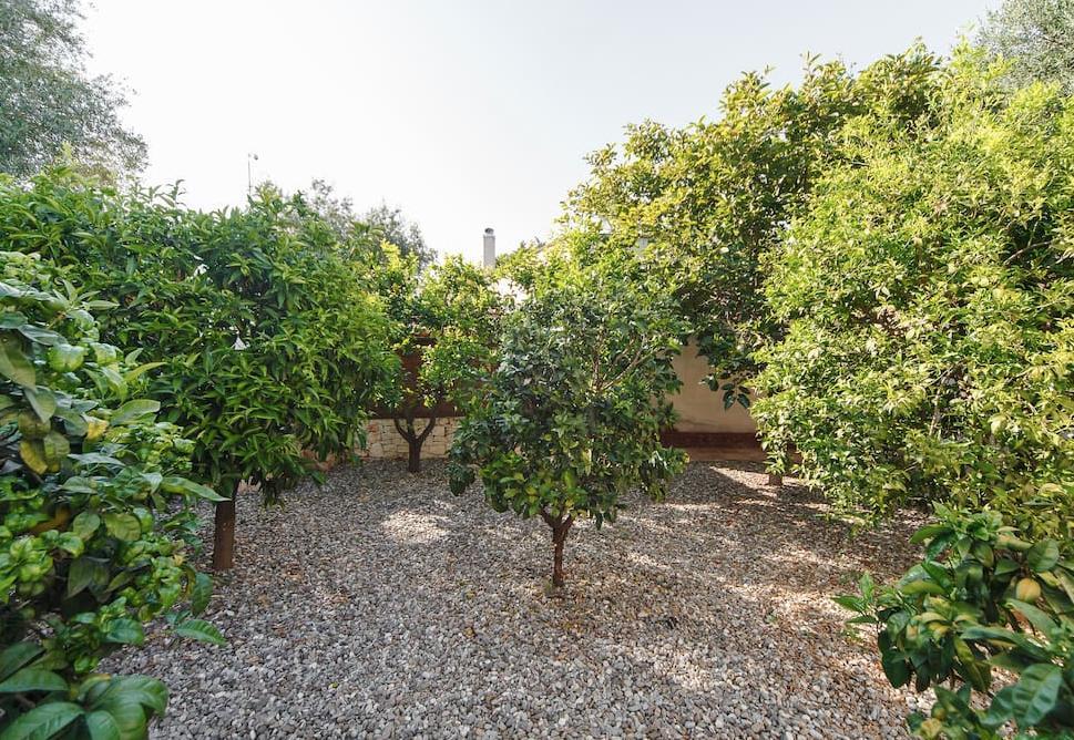B&B Antico Ulivo Monopoli Exterior photo